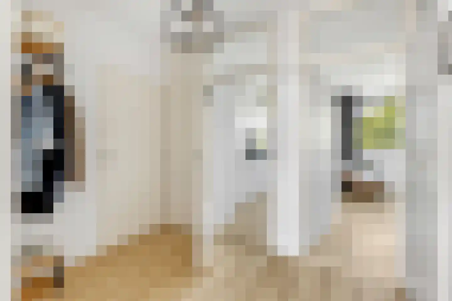 Spreeuwenstraat 203 Amersfoort thumbnail 20