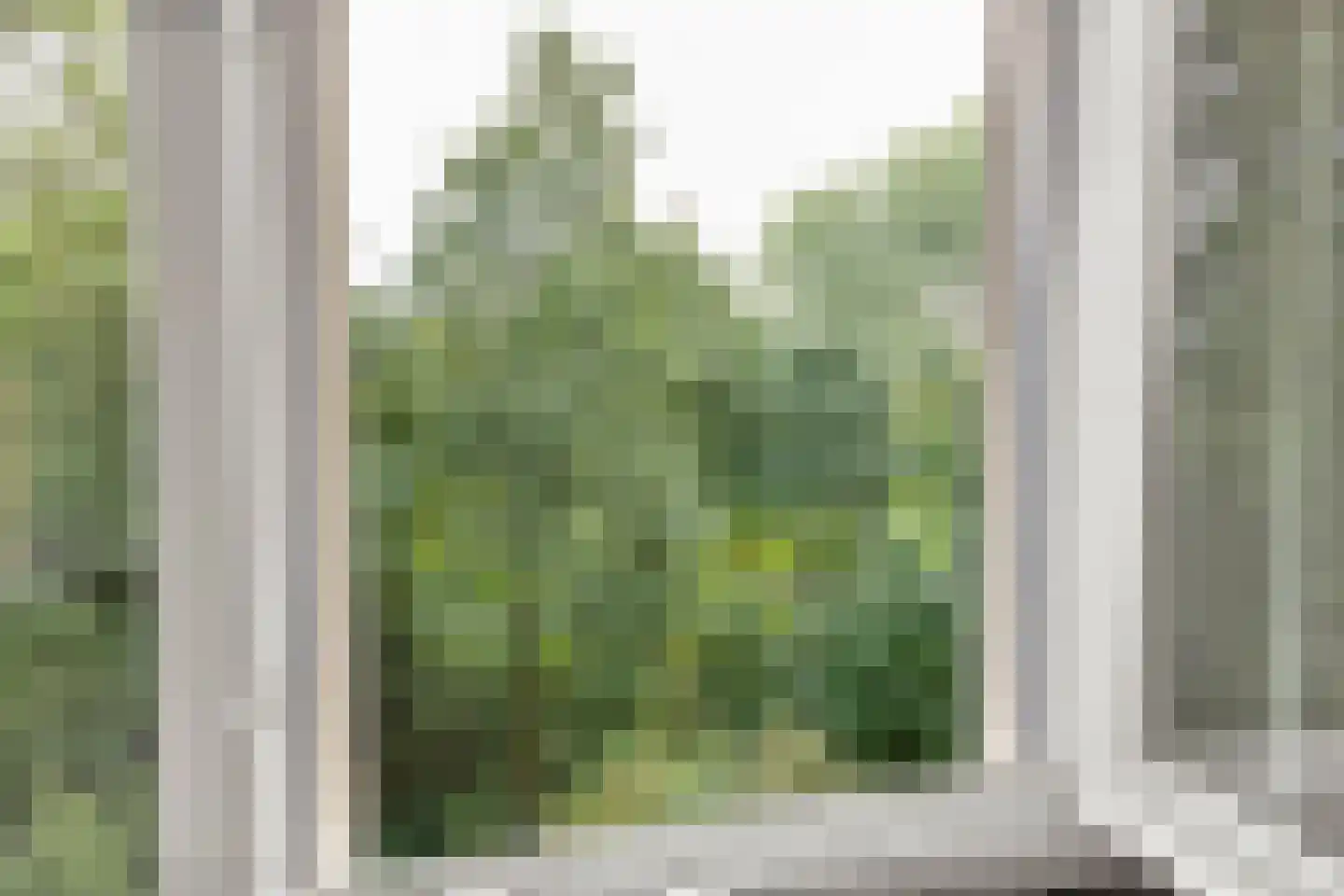 Spreeuwenstraat 219 Amersfoort thumbnail 19