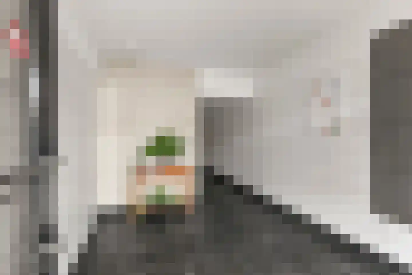 Spreeuwenstraat 219 Amersfoort thumbnail 7