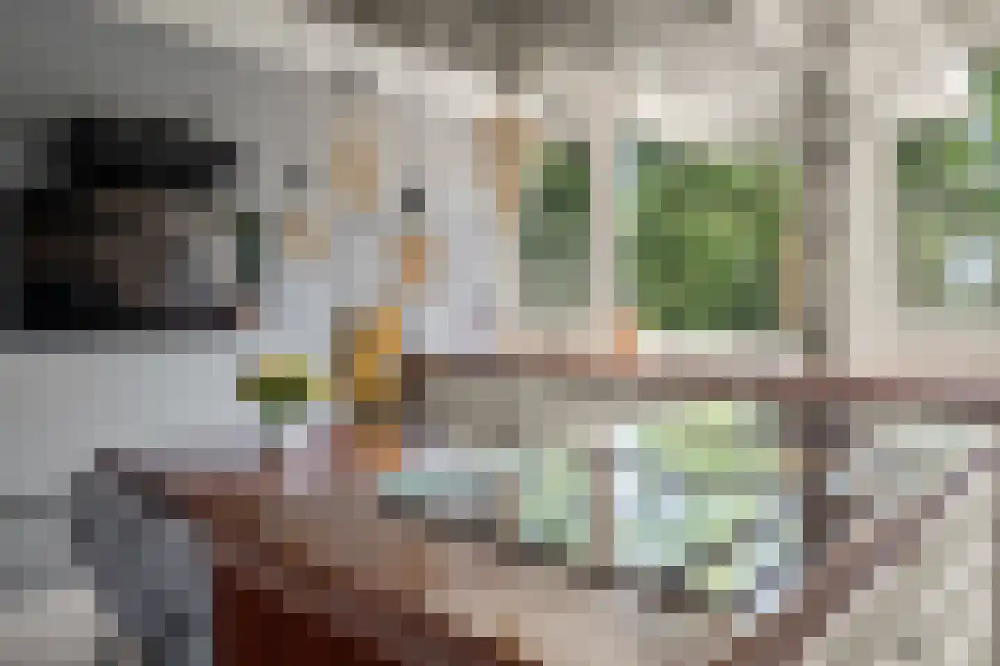 Spreeuwenstraat 225 Amersfoort thumbnail 23