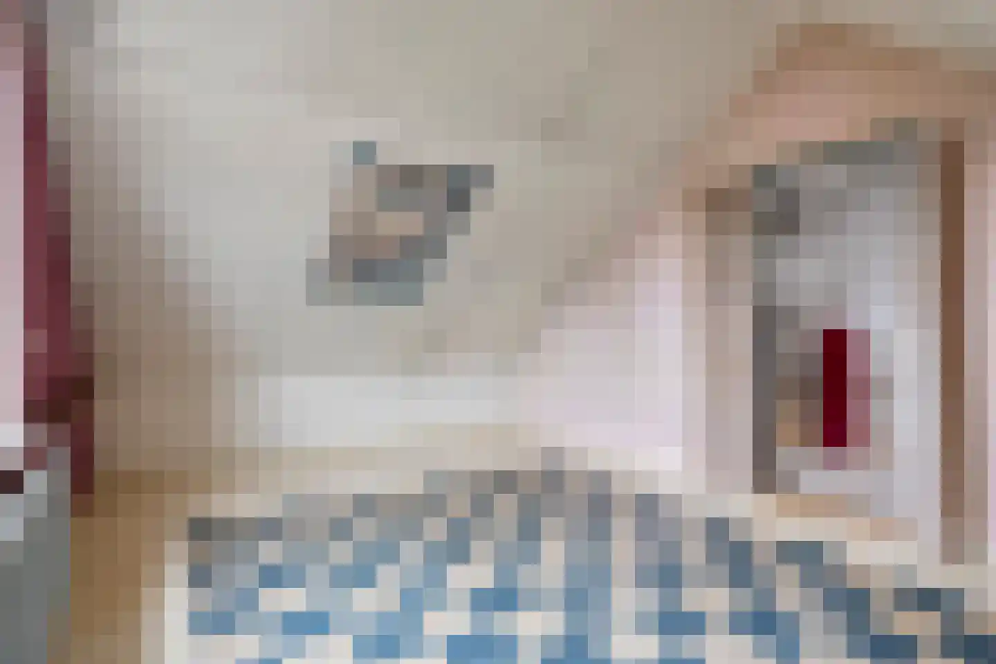 Spreeuwenstraat 23 Goor thumbnail 24