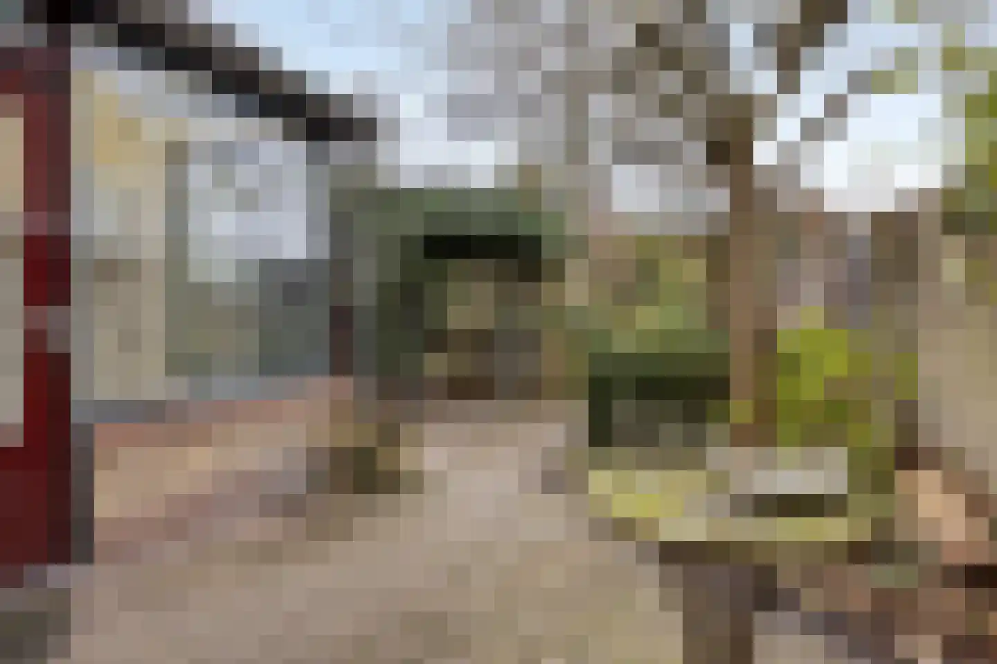 Spreeuwenstraat 23 Goor thumbnail 25