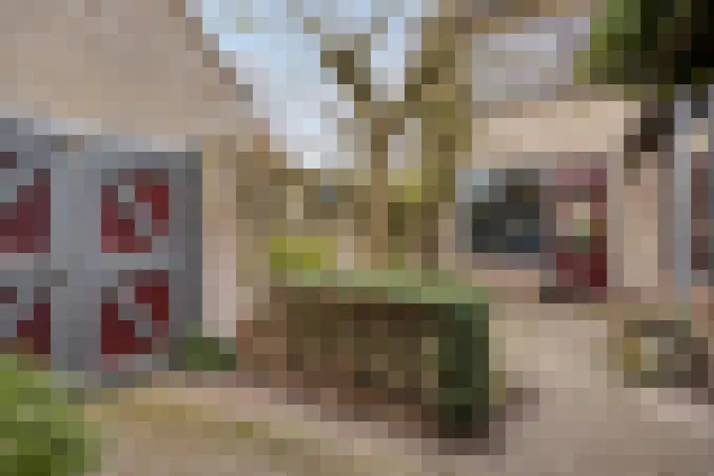 Spreeuwenstraat 23 Goor thumbnail 26
