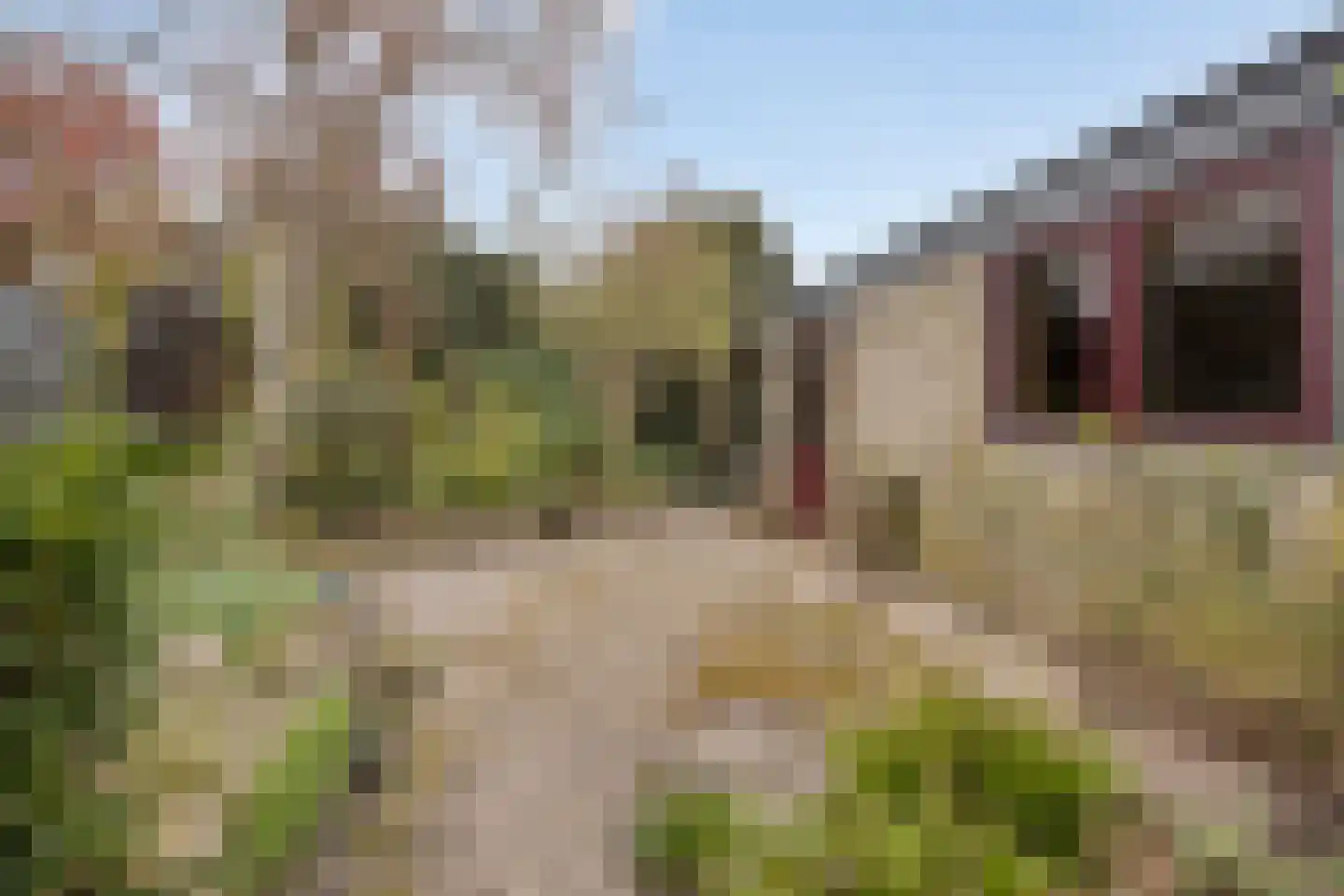 Spreeuwenstraat 23 Goor thumbnail 27