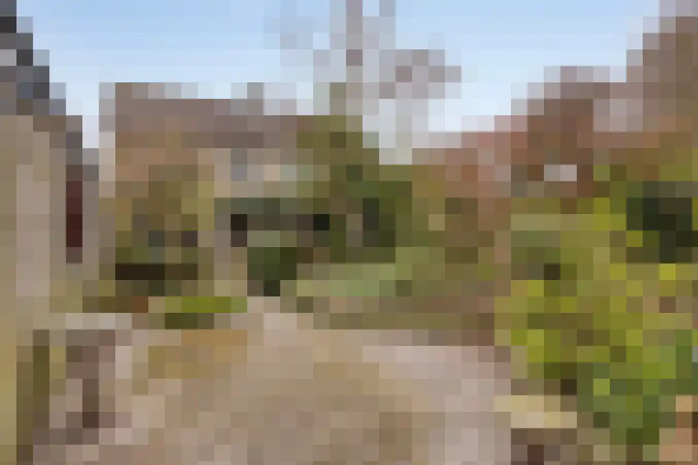 Spreeuwenstraat 23 Goor thumbnail 28