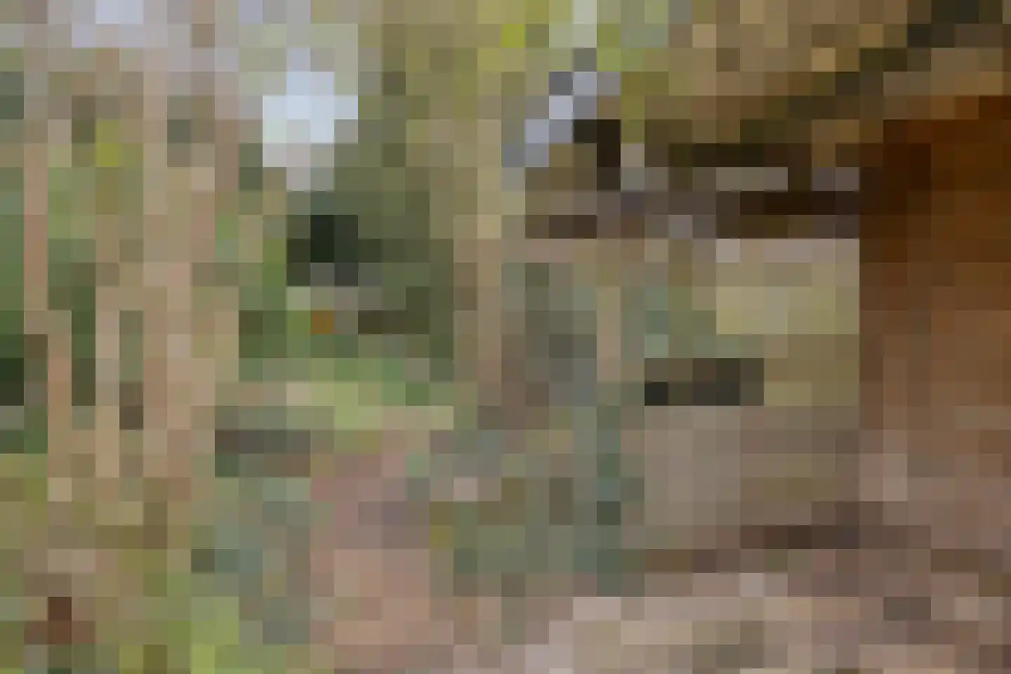 Spreeuwenstraat 23 Goor thumbnail 29