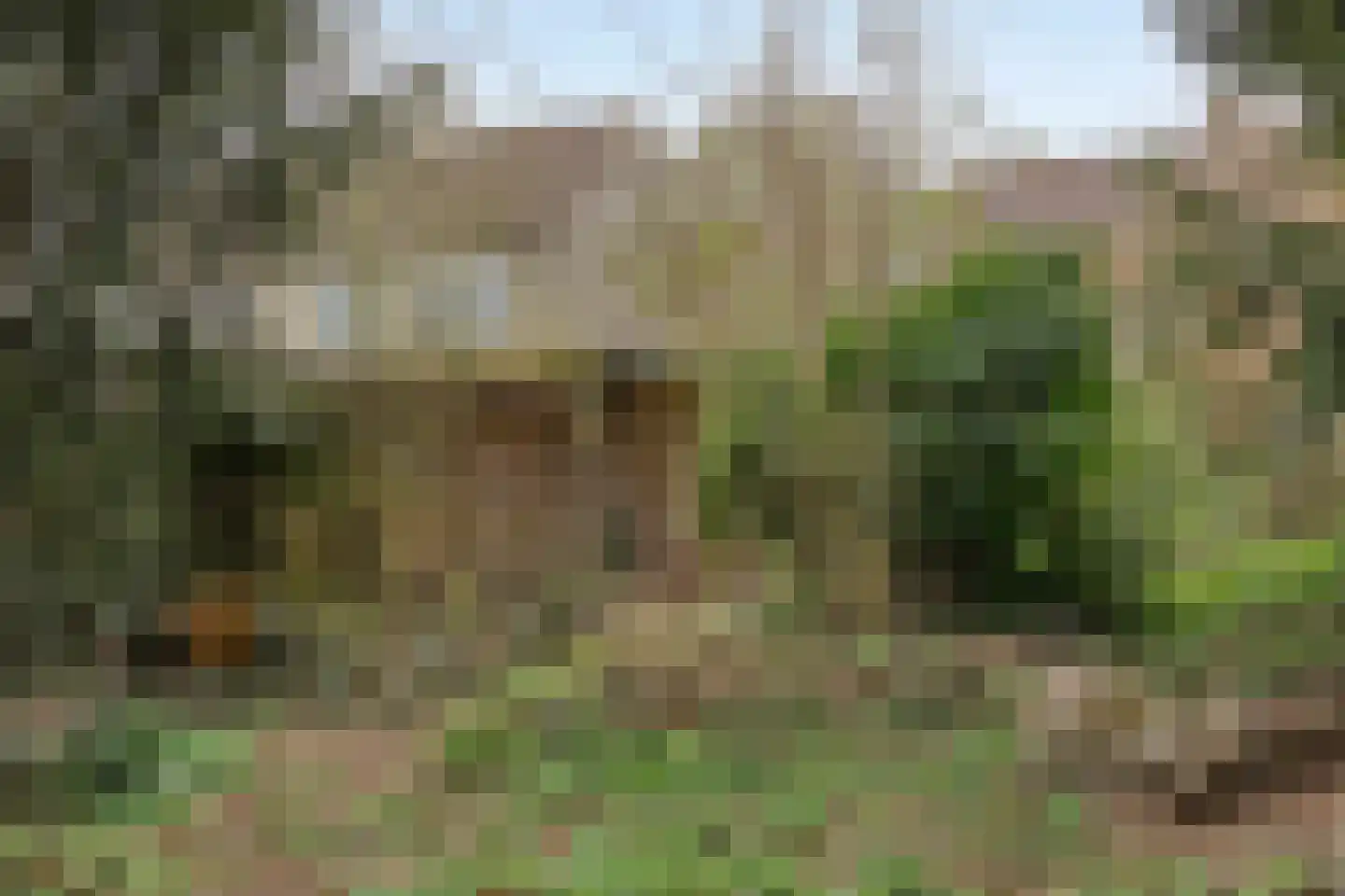 Spreeuwenstraat 23 Goor thumbnail 31