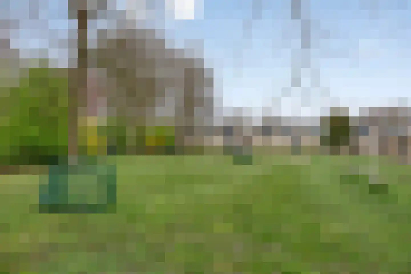 Spreeuwenstraat 23 Goor thumbnail 36