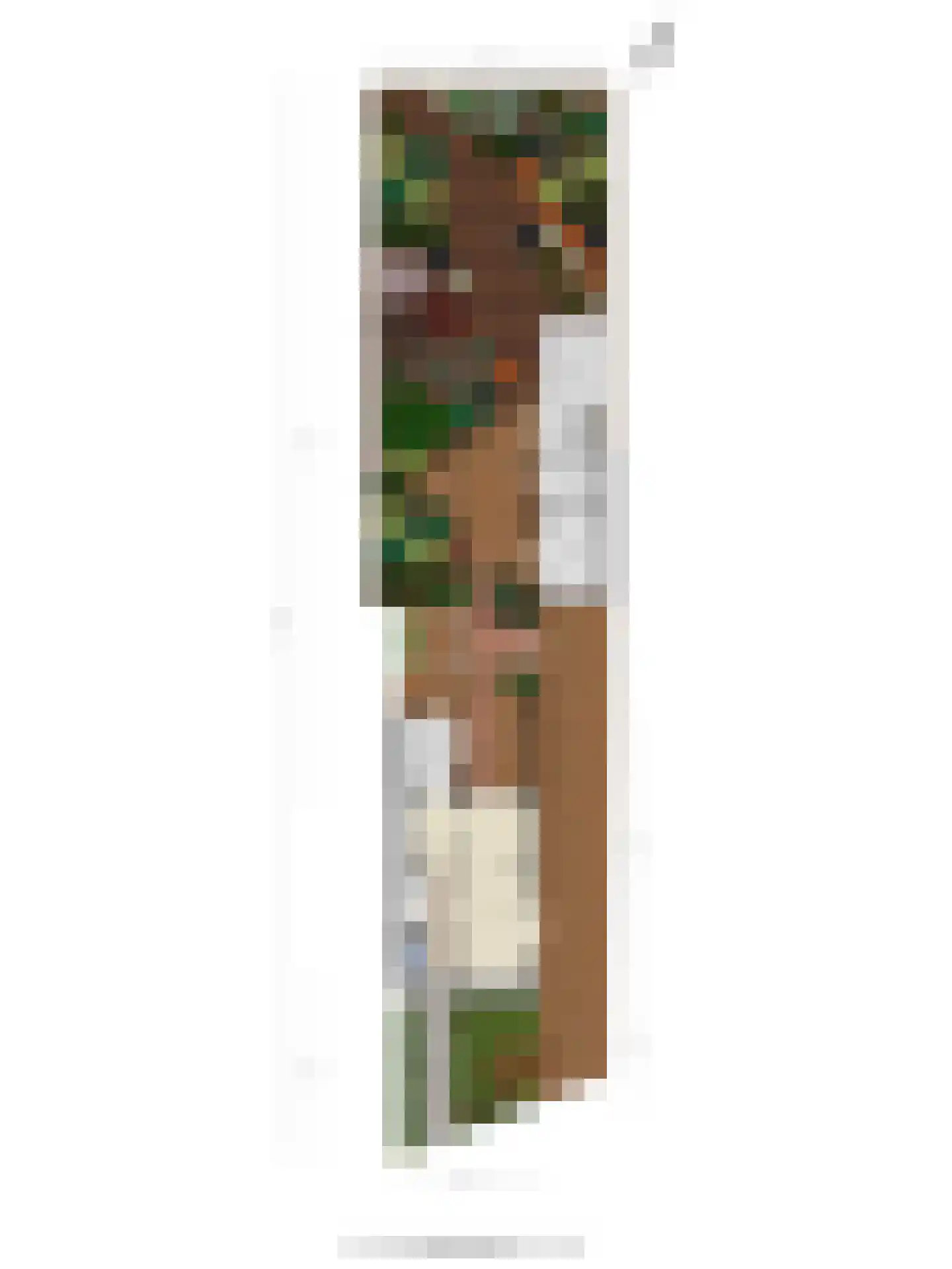 Spreeuwenstraat 23 Goor thumbnail 41