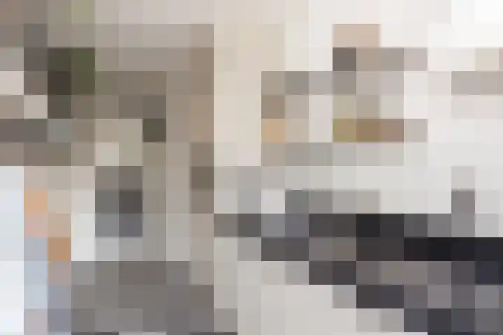 Spreeuwenstraat 241 Amersfoort thumbnail 23