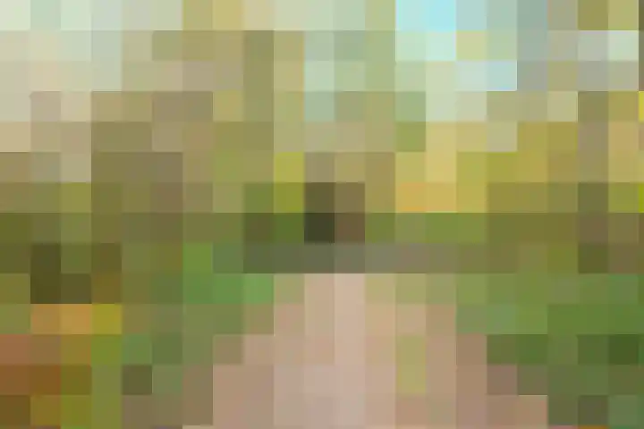 Spreeuwenstraat 241 Amersfoort thumbnail 34