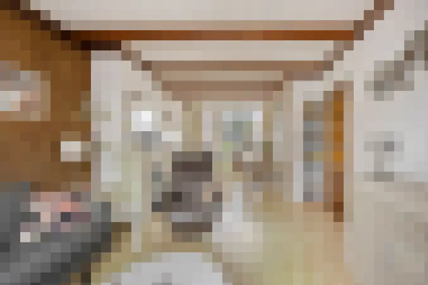 Spreeuwenstraat 27 Ilpendam thumbnail 11