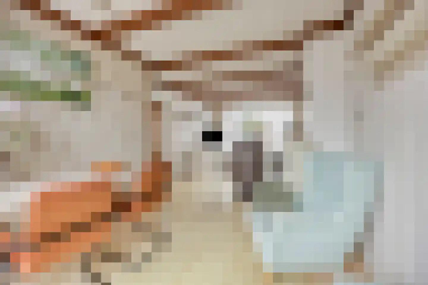 Spreeuwenstraat 27 Ilpendam thumbnail 13