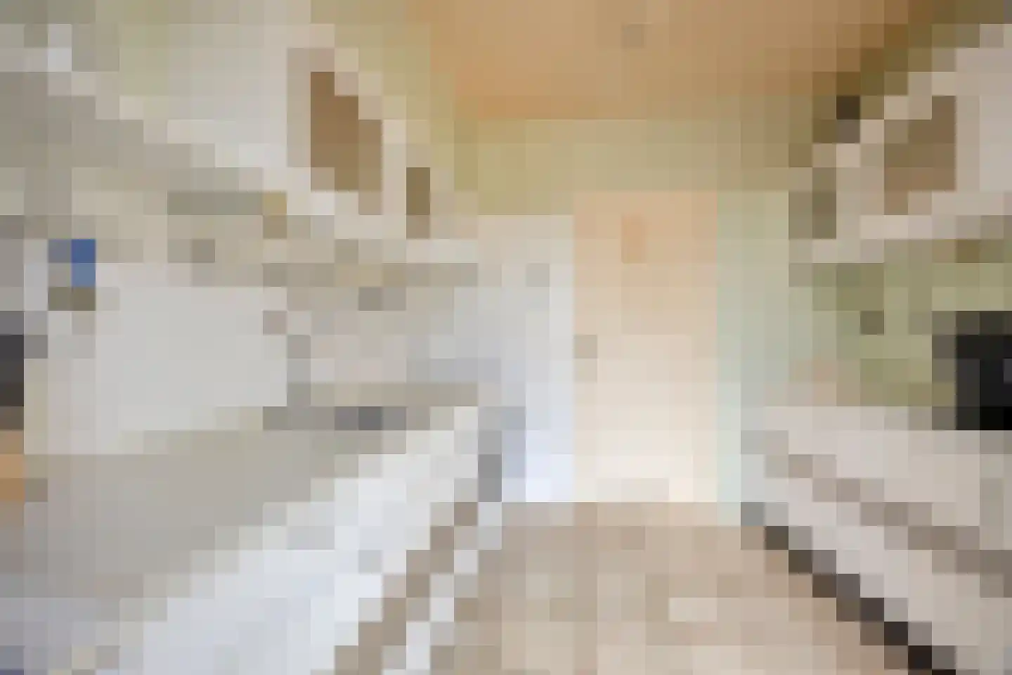 Spreeuwenstraat 27 Ilpendam thumbnail 16