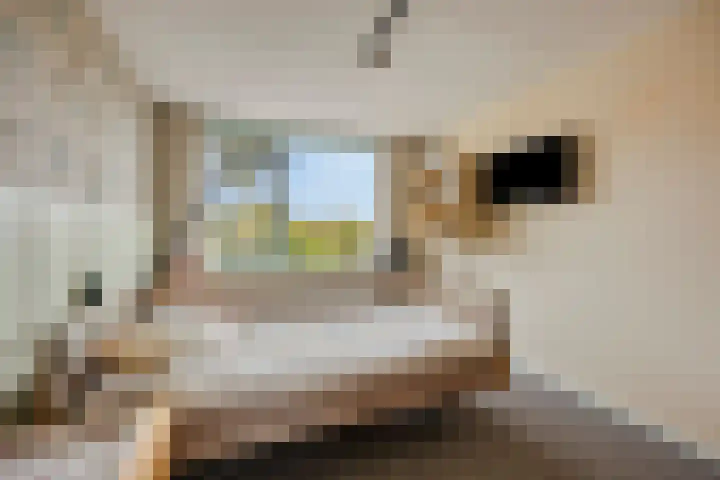 Spreeuwenstraat 27 Ilpendam thumbnail 18
