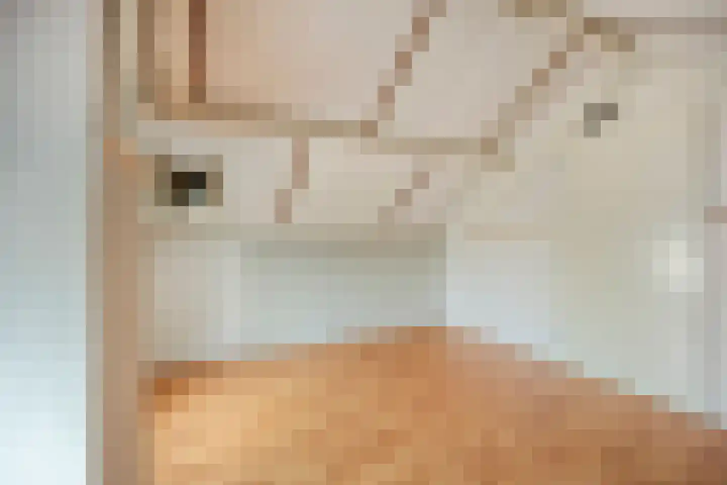 Spreeuwenstraat 27 Ilpendam thumbnail 25