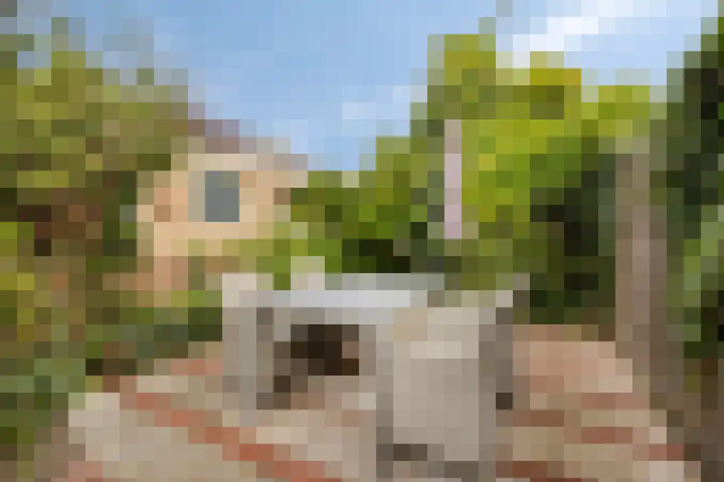 Spreeuwenstraat 27 Ilpendam thumbnail 29