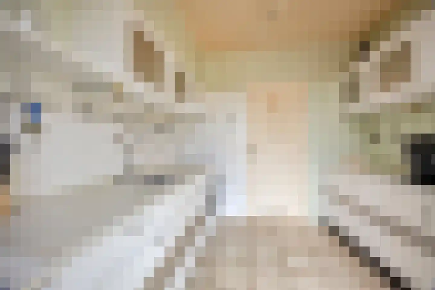 Spreeuwenstraat 27 Ilpendam thumbnail 4