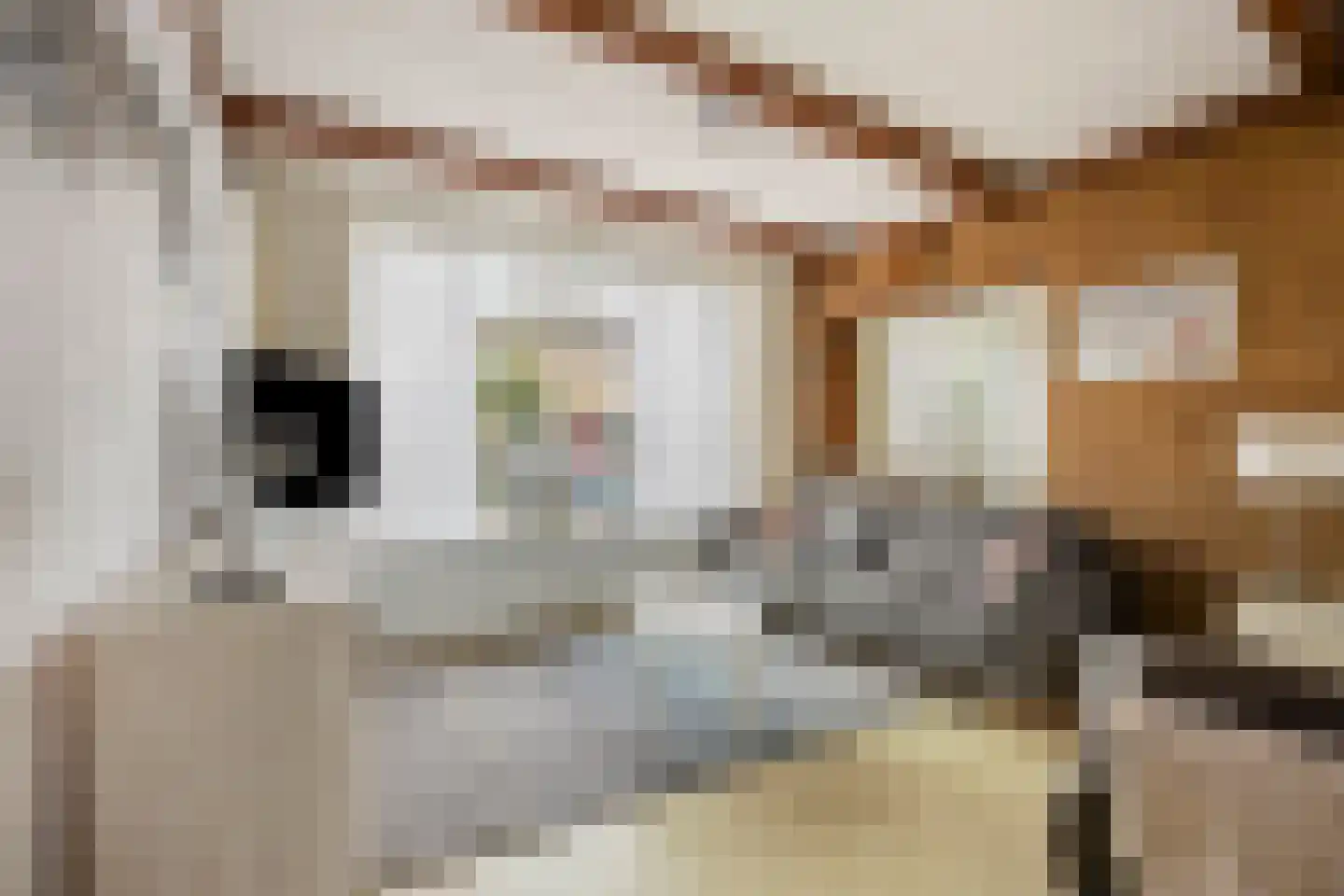 Spreeuwenstraat 27 Ilpendam thumbnail 9