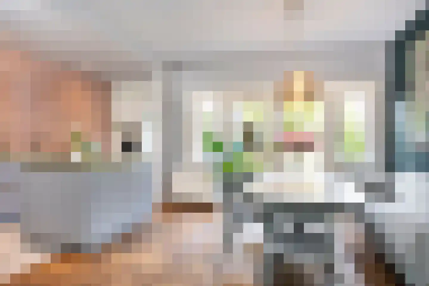 Spreeuwenstraat 29 Hengelo thumbnail 13