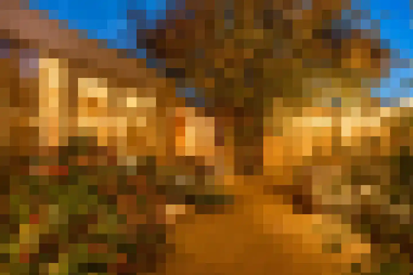 Spreeuwenstraat 29 Hengelo thumbnail 28