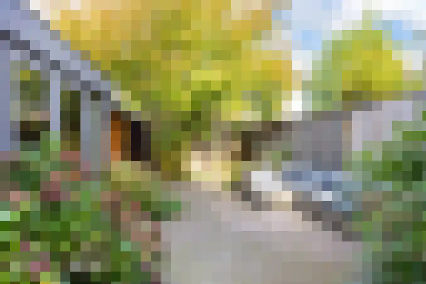 Spreeuwenstraat 29 Hengelo thumbnail 30