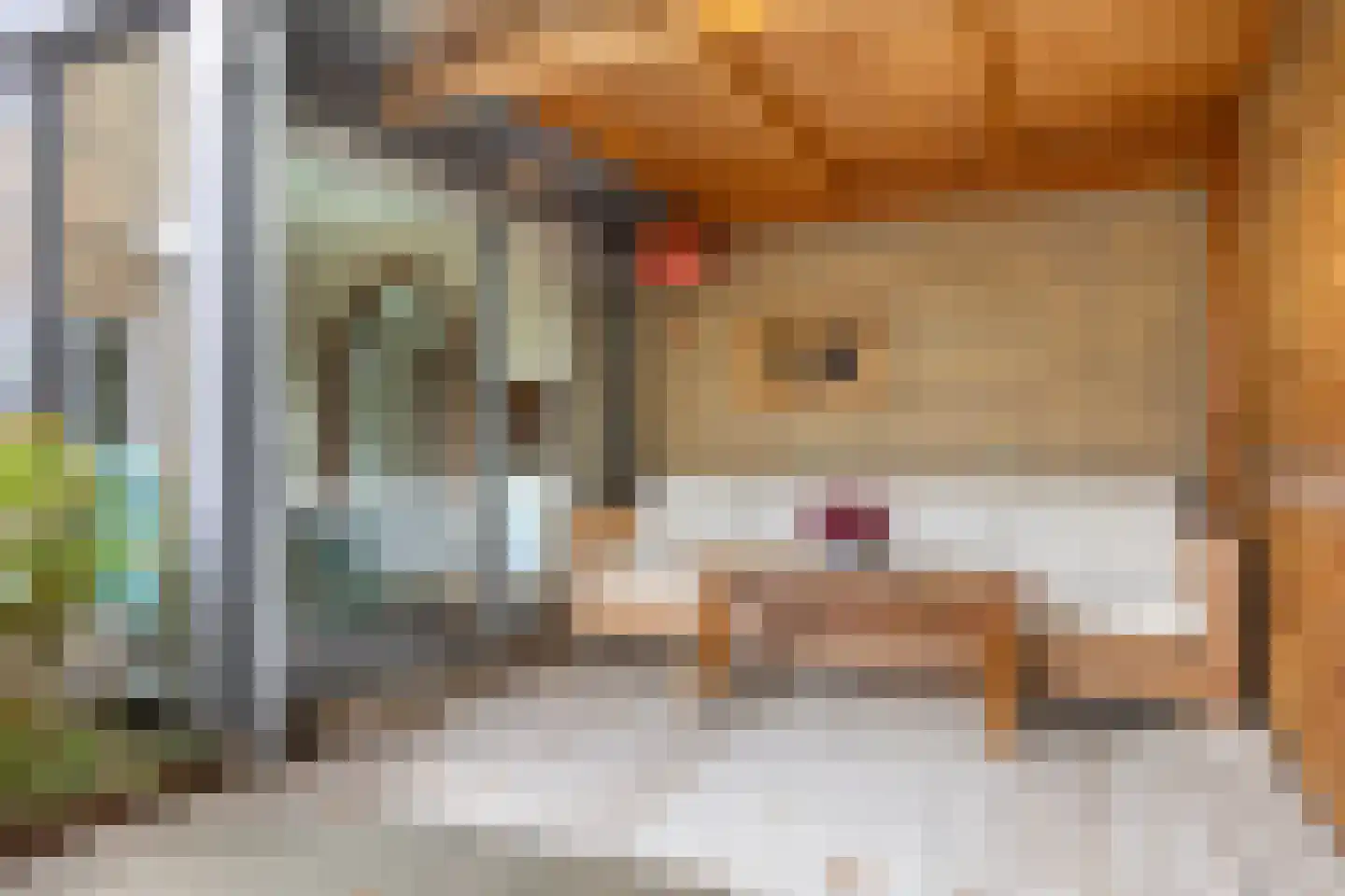 Spreeuwenstraat 29 Hengelo thumbnail 33