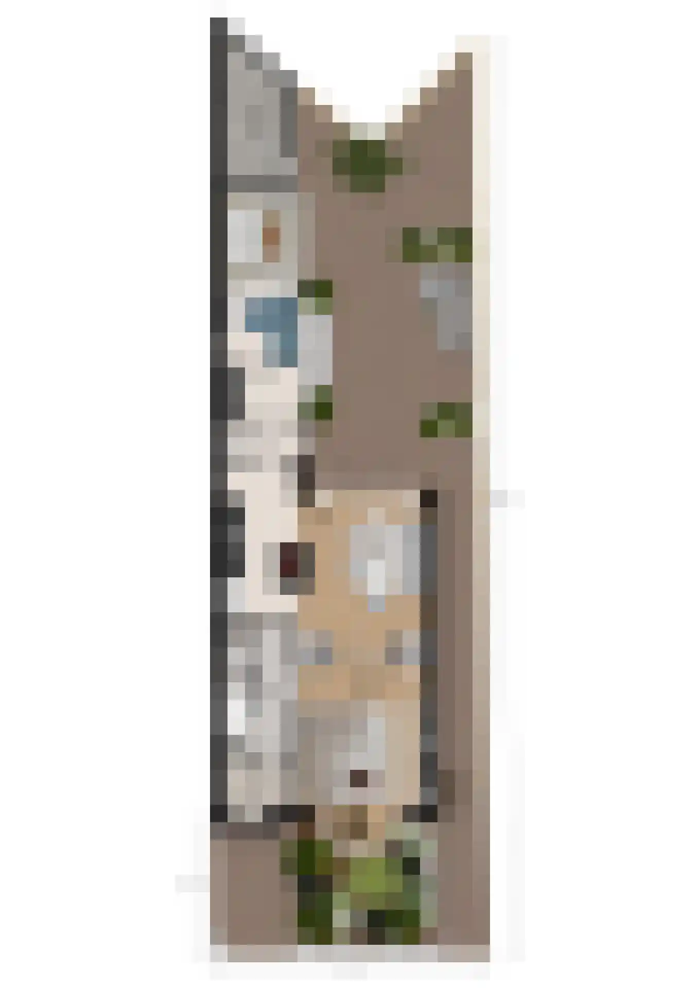 Spreeuwenstraat 29 Hengelo thumbnail 44