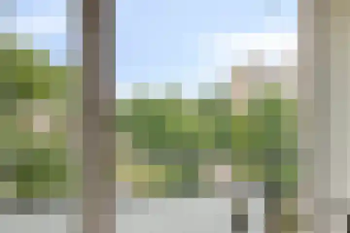 Spreeuwenstraat 293 Amersfoort thumbnail 25