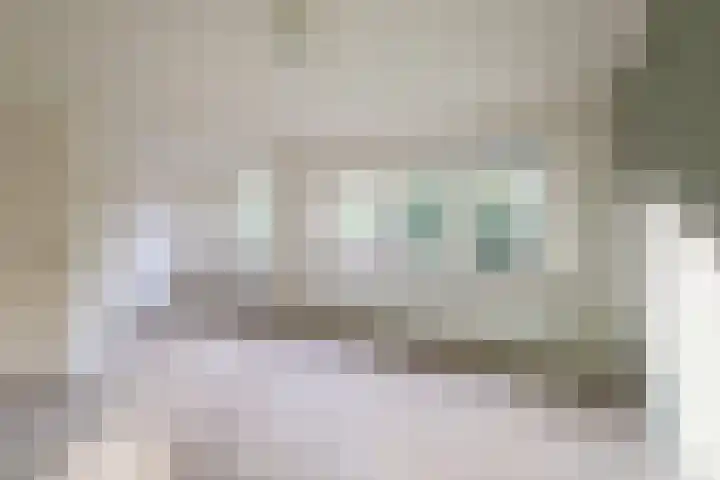 Spreeuwenstraat 30 Hengelo thumbnail 20