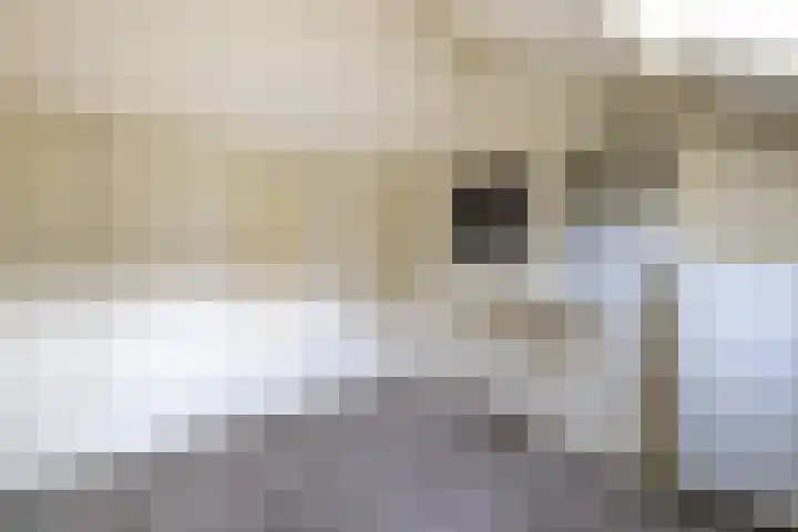 Spreeuwenstraat 30 Hengelo thumbnail 33