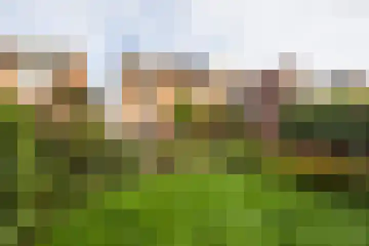 Spreeuwenstraat 30 Hengelo thumbnail 37