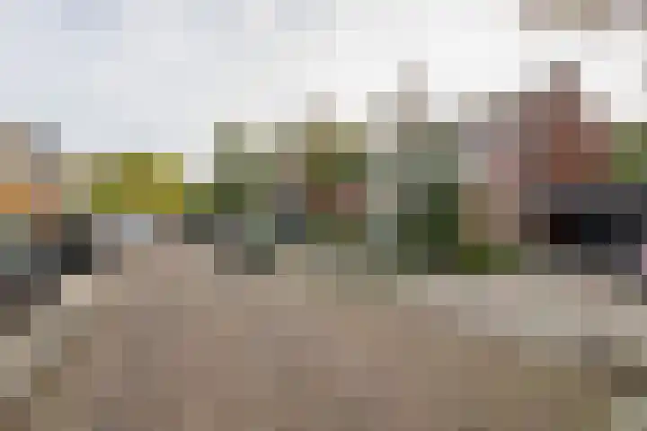 Spreeuwenstraat 30 Hengelo thumbnail 4