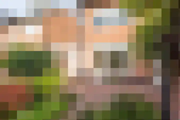 Spreeuwenstraat 30 Hengelo thumbnail 44