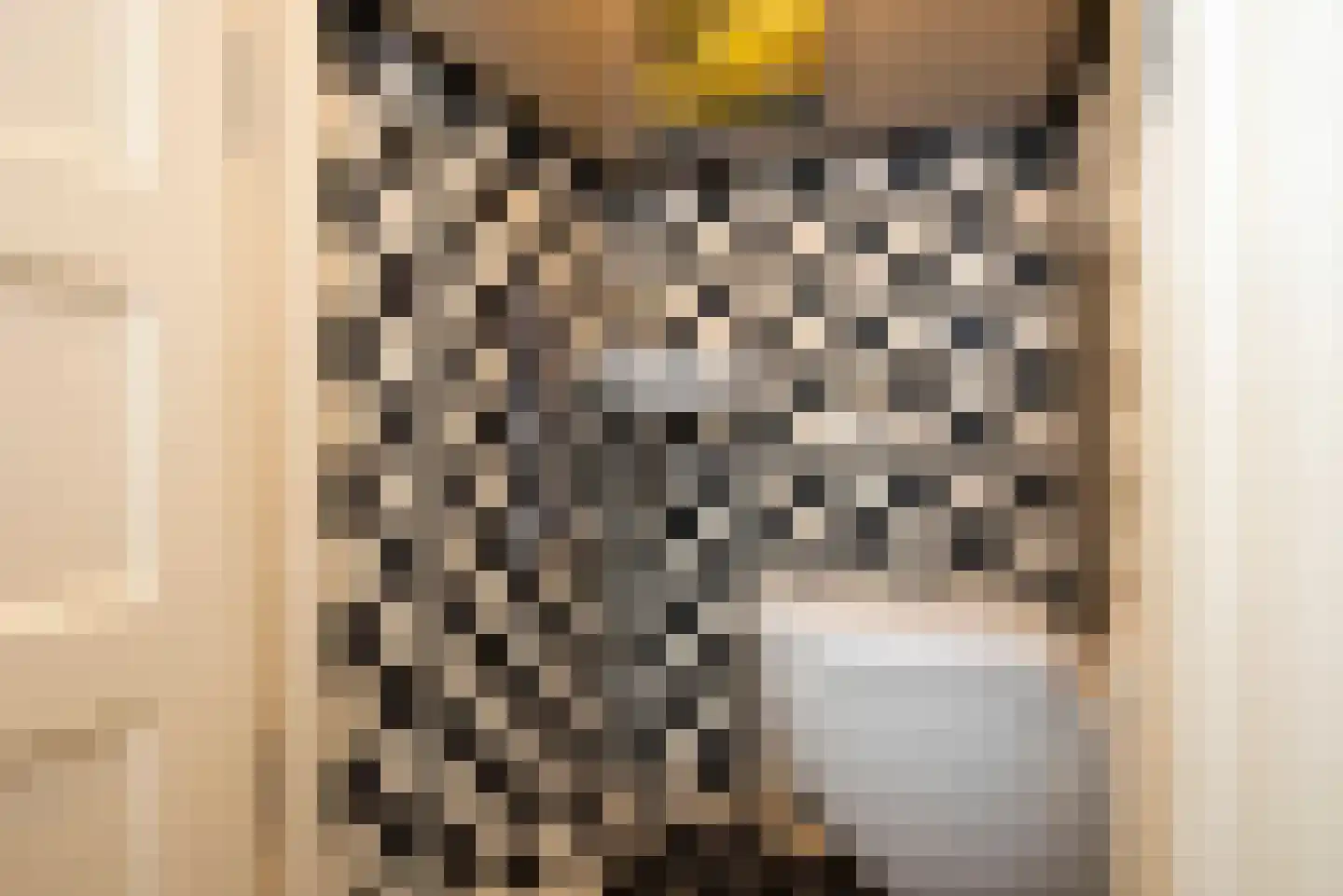 Spreeuwenstraat 31 Hengelo thumbnail 12