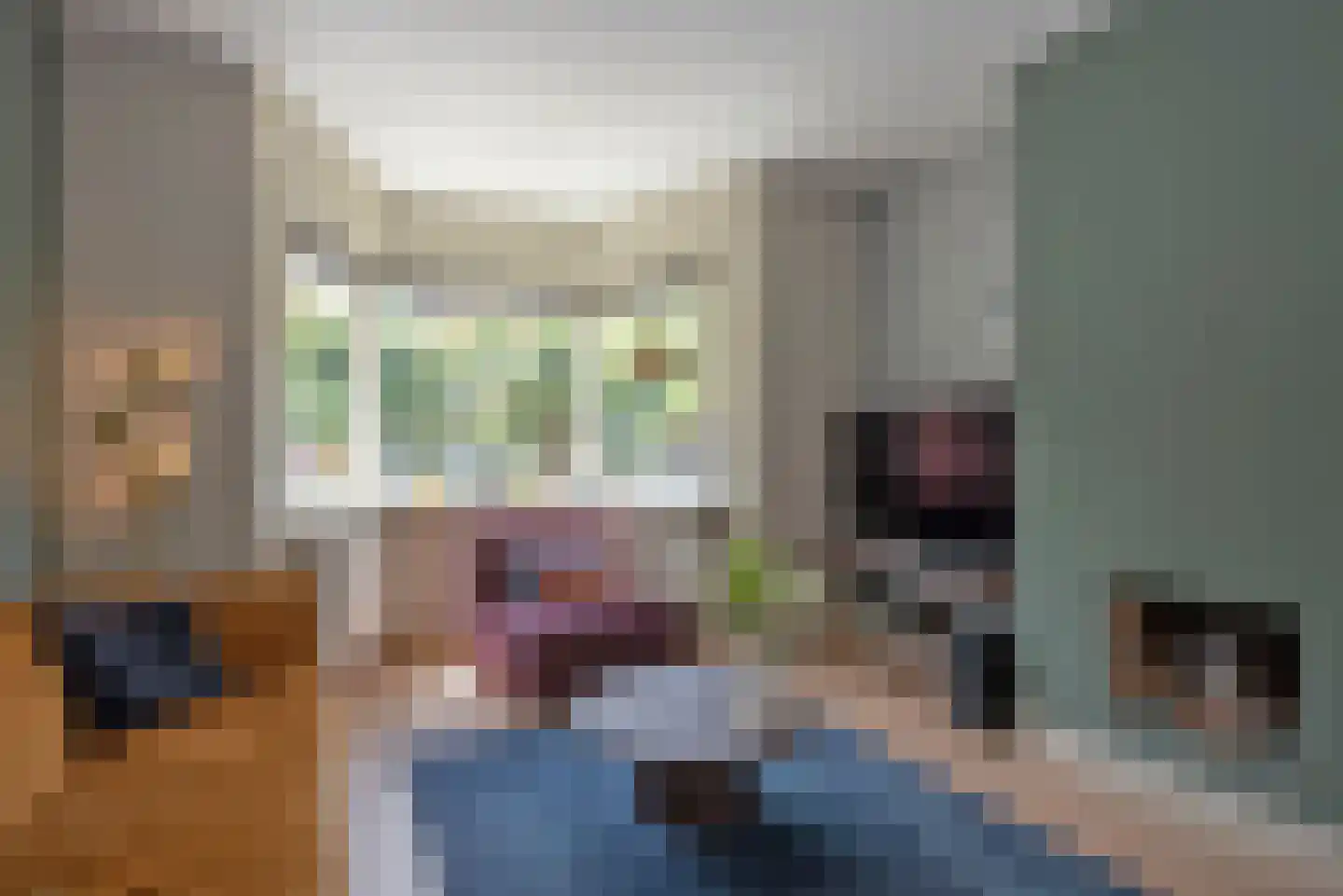 Spreeuwenstraat 31 Hengelo thumbnail 13