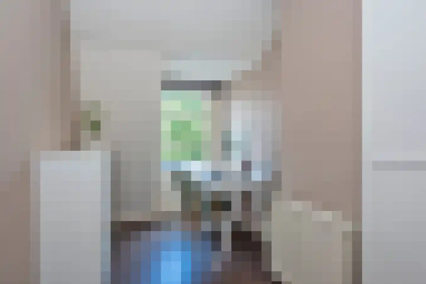 Spreeuwenstraat 31 Hengelo thumbnail 28