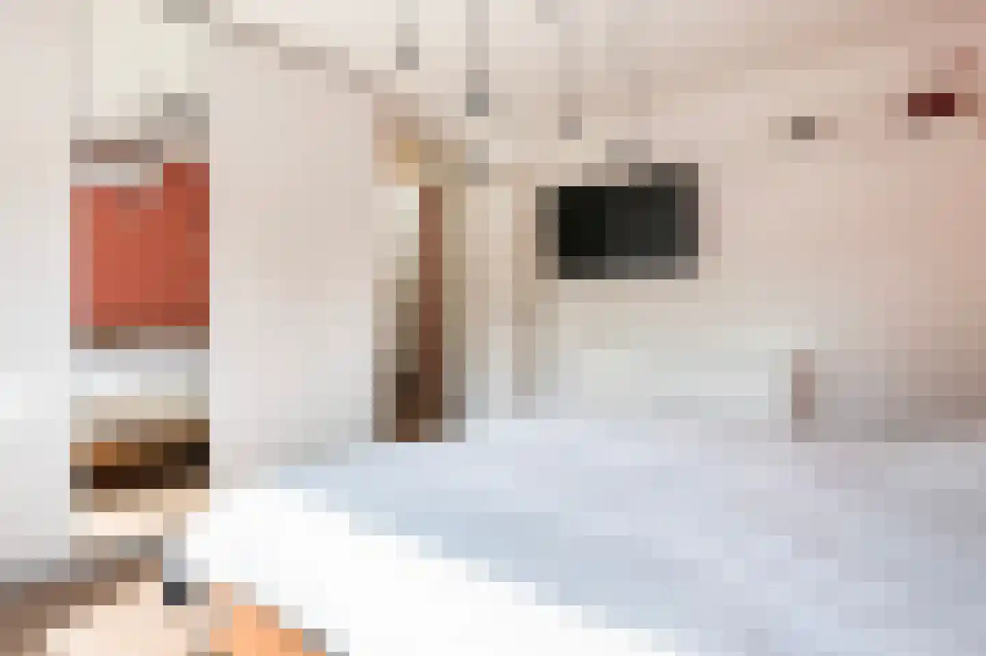 Spreeuwenstraat 39 Goor thumbnail 22