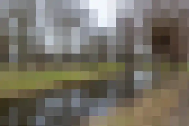 Spreeuwenstraat 66 Almelo thumbnail 30