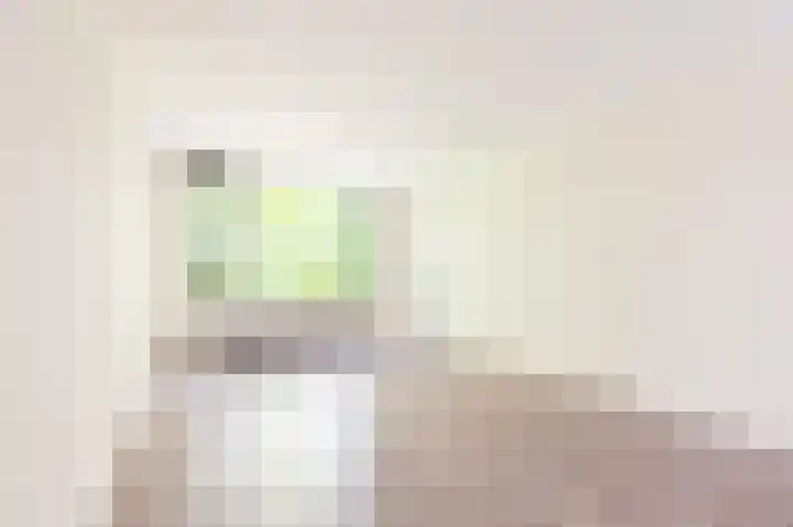 Spreeuwenweg 89 Apeldoorn thumbnail 10