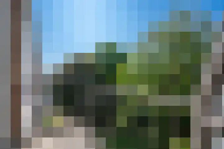 Spreeuwenweg 89 Apeldoorn thumbnail 17