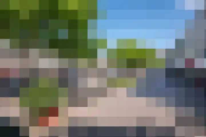 Spreeuwenweg 89 Apeldoorn thumbnail 18