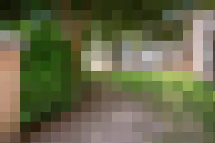 Spreeuwenweg 89 Apeldoorn thumbnail 19