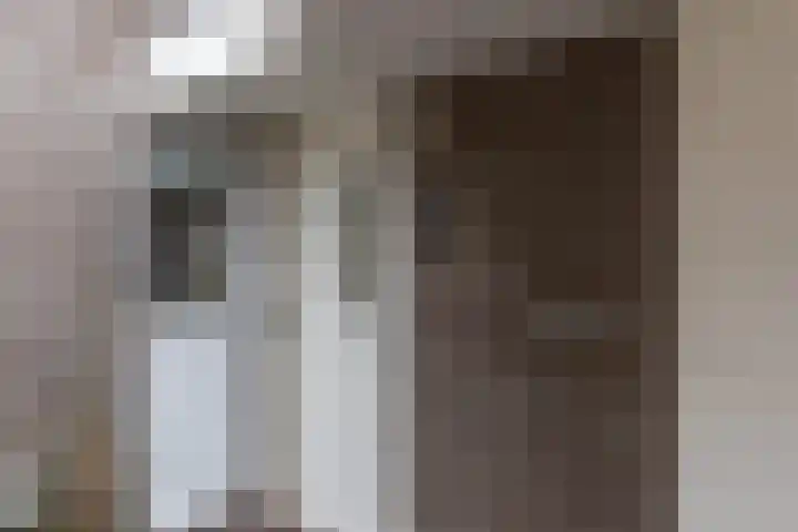 Spreeuwstraat 24 Winterswijk thumbnail 4