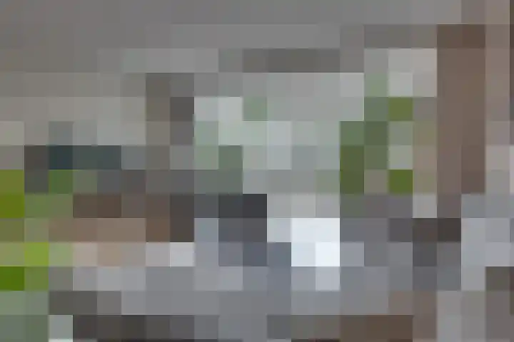 Spreeuwstraat 24 Winterswijk thumbnail 7