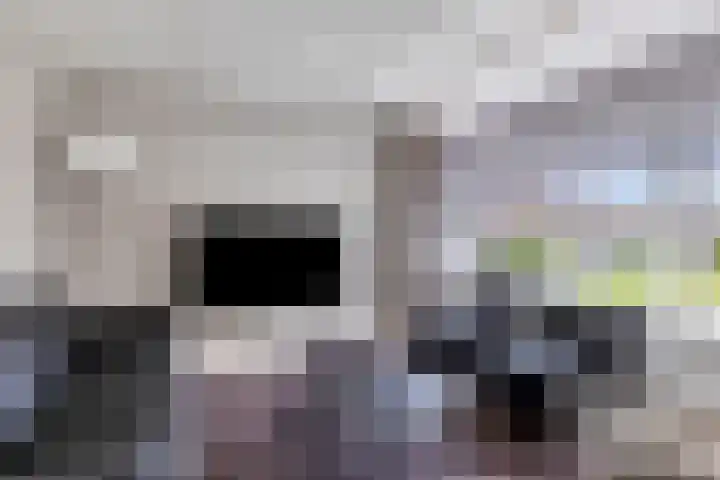 Spreeuwstraat 50 Winterswijk thumbnail 8