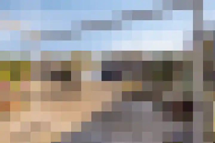 Sprencklaan 25 Middelburg thumbnail 21