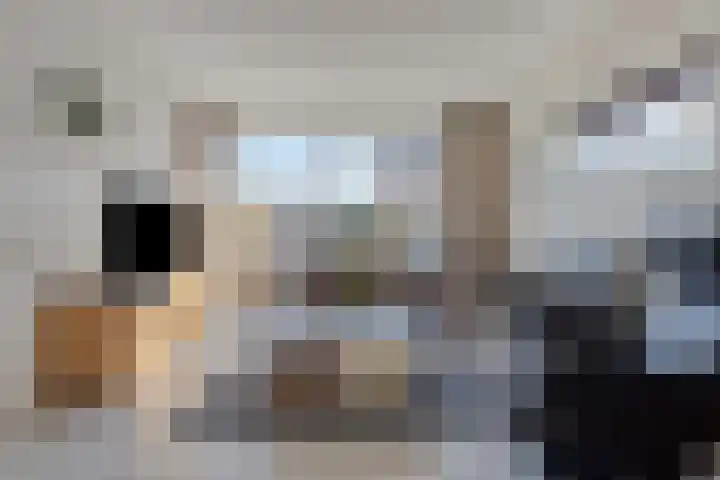 Sprencklaan 25 Middelburg thumbnail 4