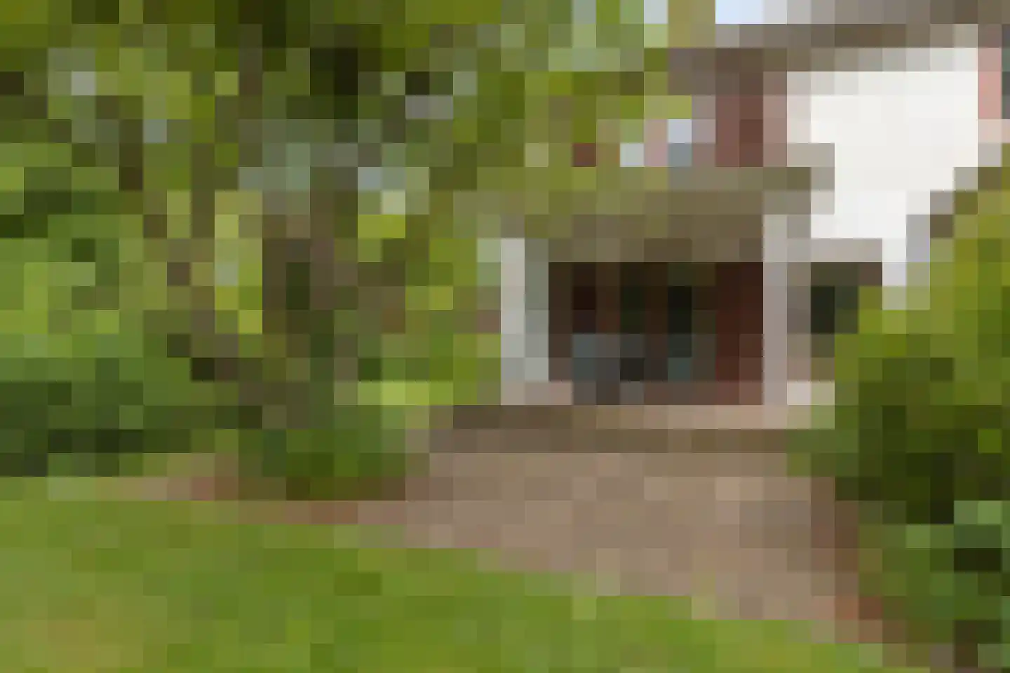 Sprencklaan 5 Middelburg thumbnail 39