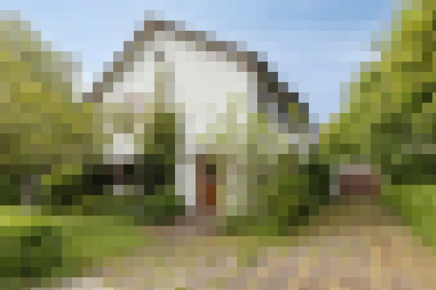 Sprencklaan 5 Middelburg thumbnail 4